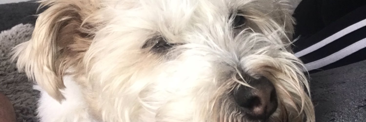 jjssimmon's profile banner image