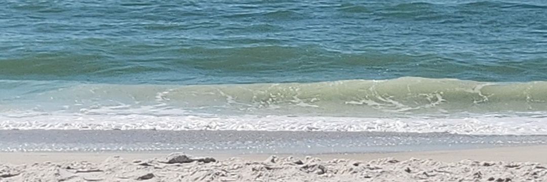 Mom of 1; Teacher of Many banner