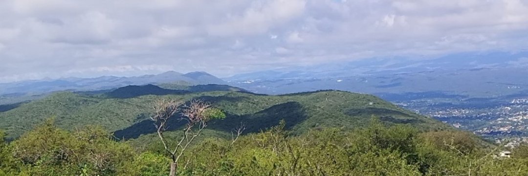 Vanina Marisol Po Cruz banner