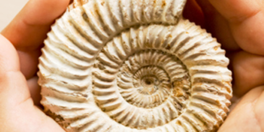 TheCoachingCom's profile banner image