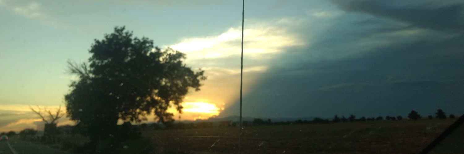 Flara96's profile banner image