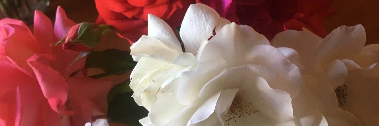 tanabrowning's profile banner image