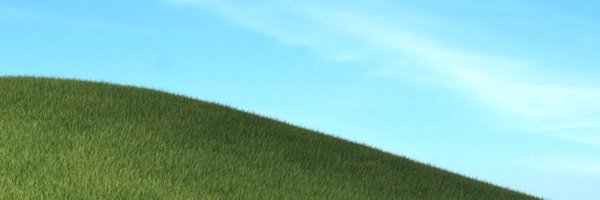 cryptomuse Profile Banner