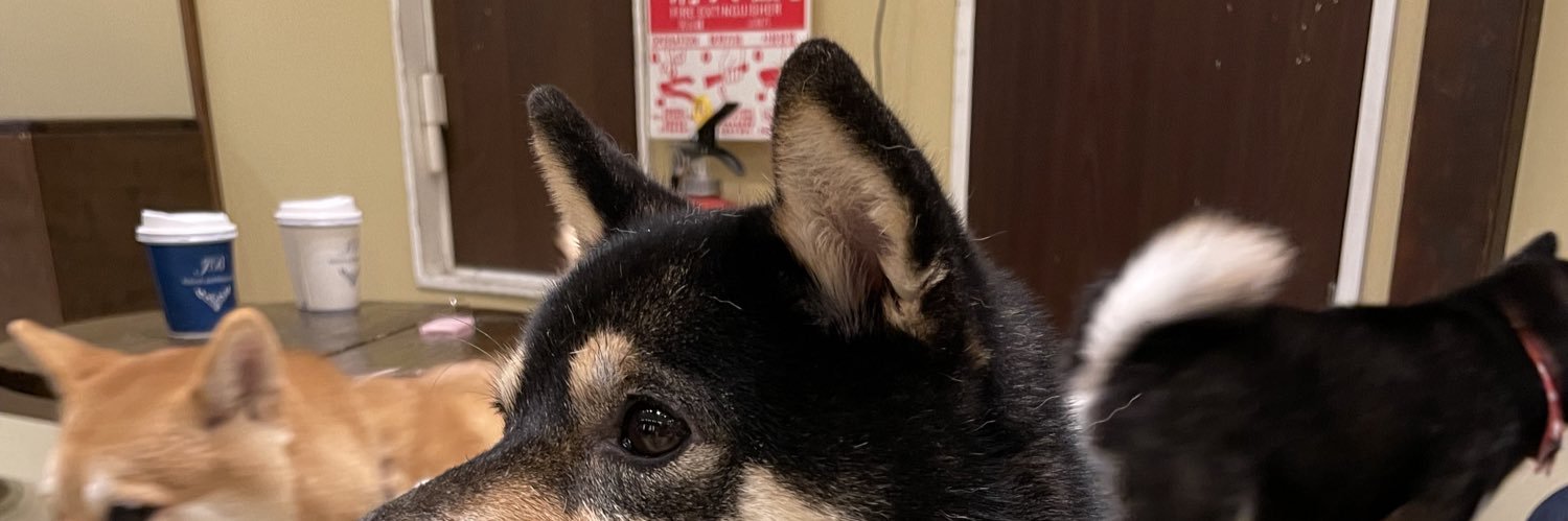 柴犬 banner
