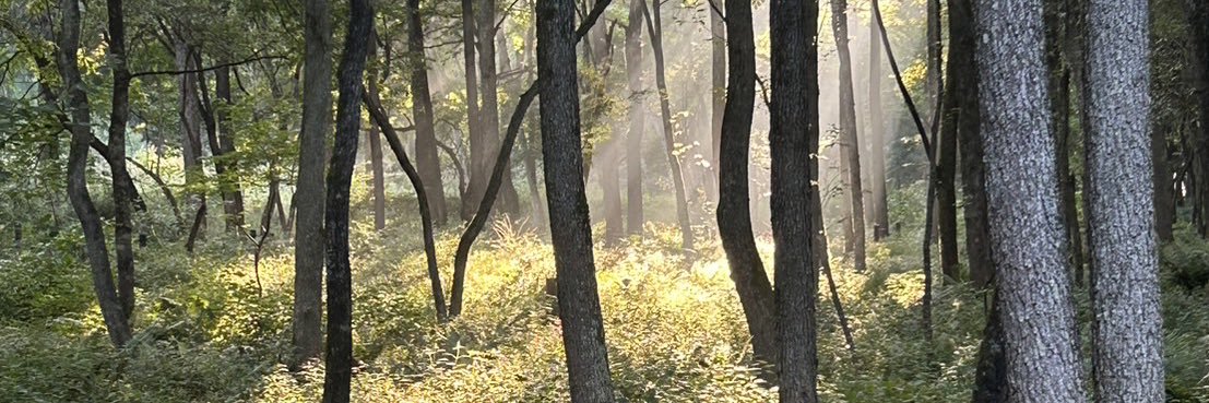 augustjann's profile banner image