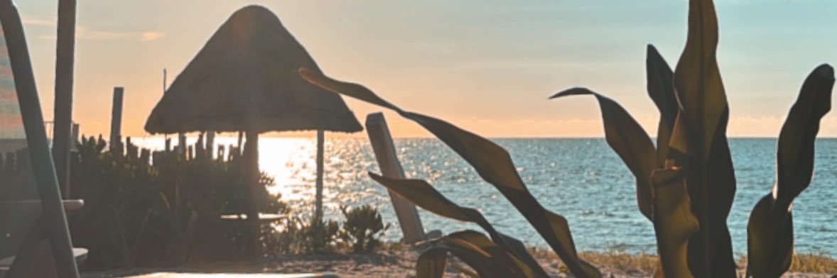 fernandachant's profile banner image