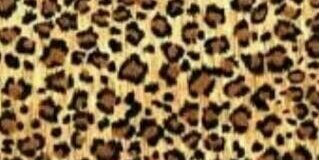 anaama98's profile banner image