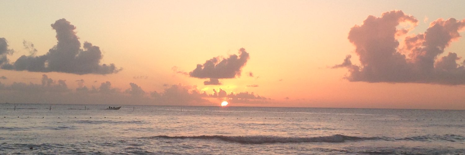 TheBitterClo's profile banner image