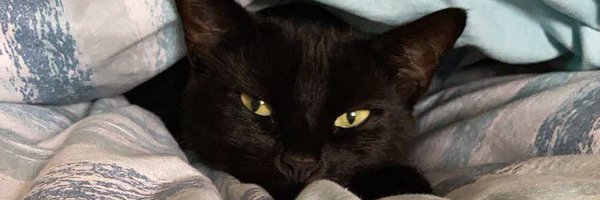 helenmurray01 Profile Banner