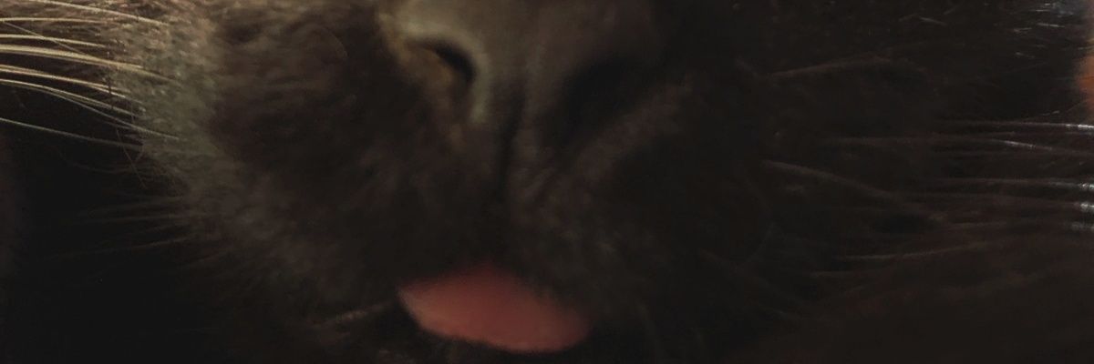 naopardo_'s profile banner image