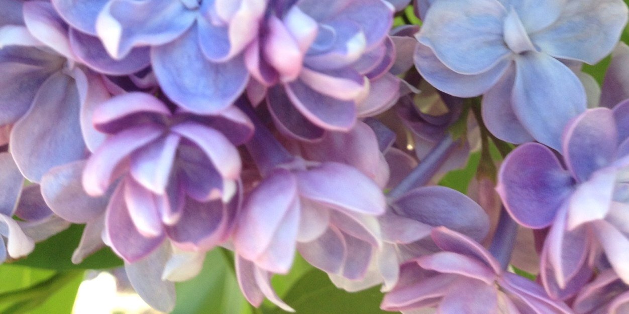 nataliemurdock's profile banner image