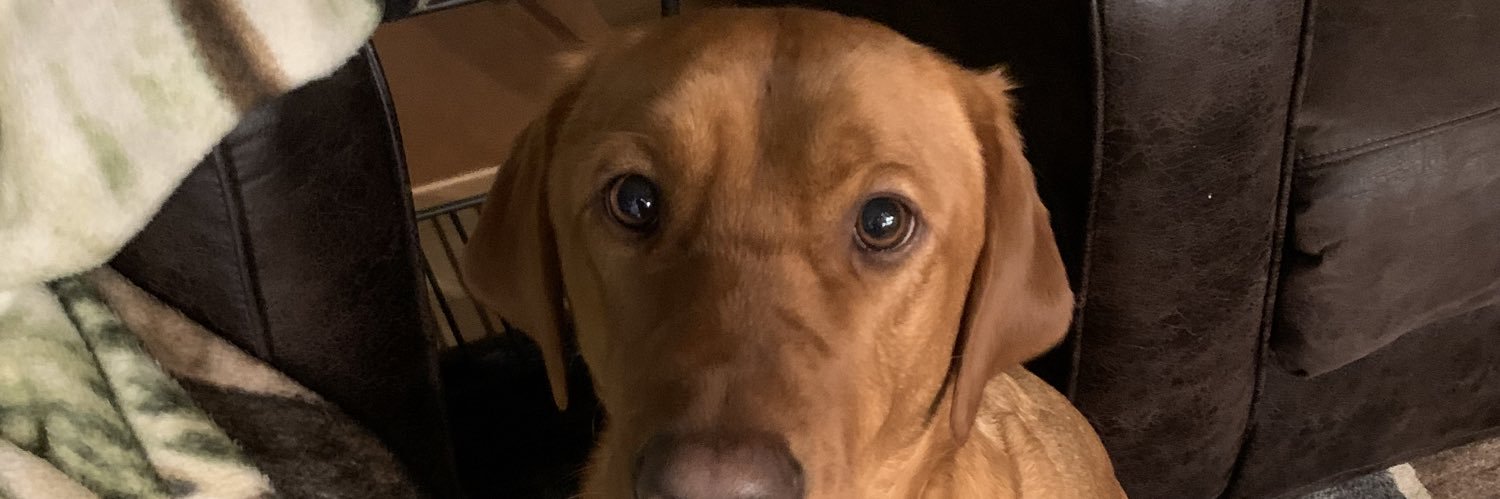 EricEichelt's profile banner image