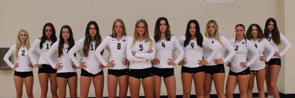 WHS Girls Volleyball banner