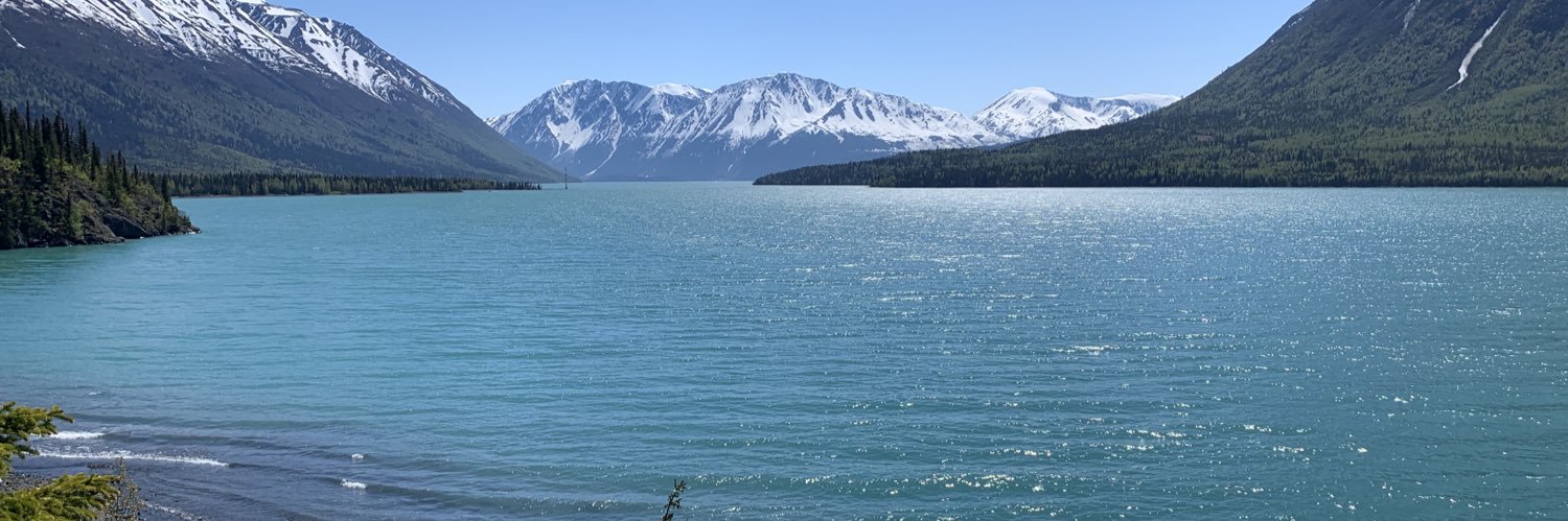 Richard Wilson banner