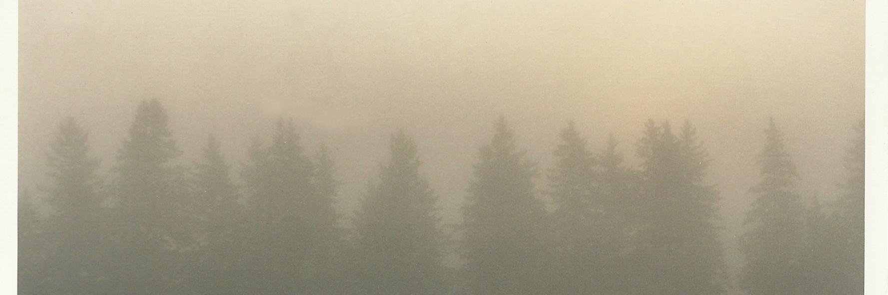 joevalley_'s profile banner image