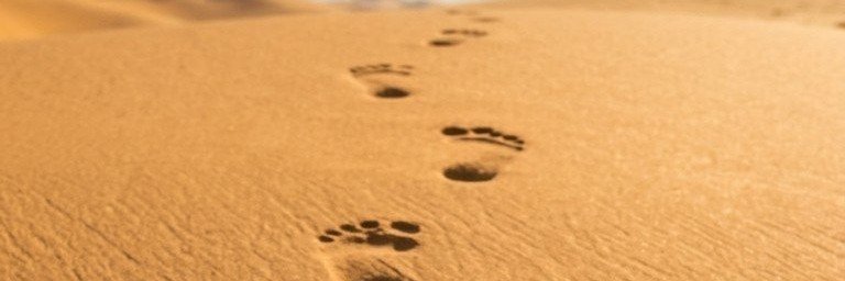 Athr_v's profile banner image