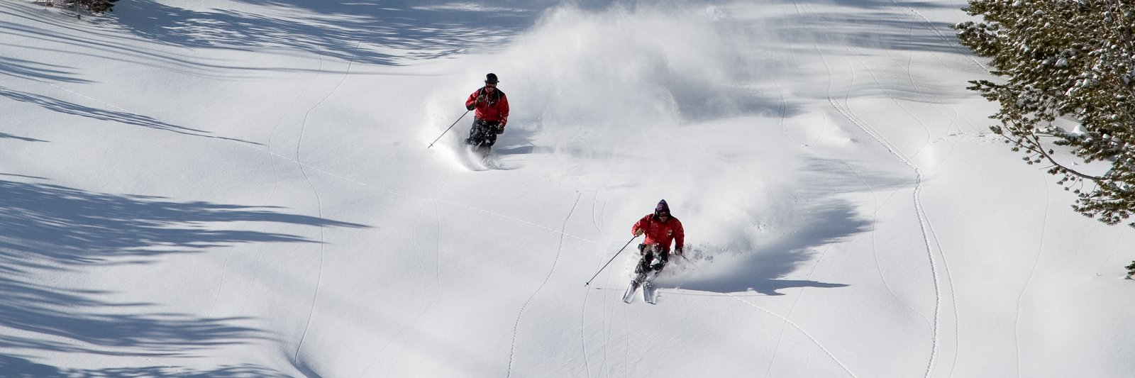 MammothEM Conference banner