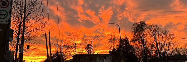 17blackpixie Profile Banner