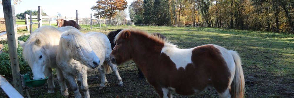 passion double poussée banner