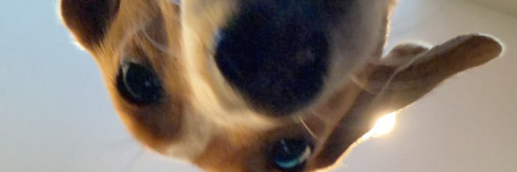 JamesRockwell17's profile banner image