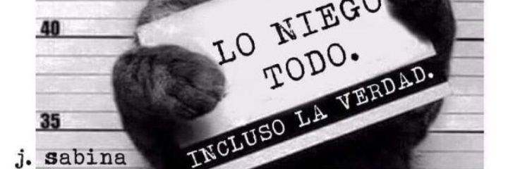 chipinostle's profile banner image