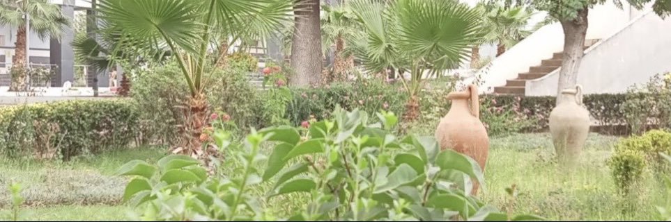 Yoshack Malekela banner