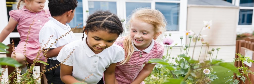 HfL Primary Science banner