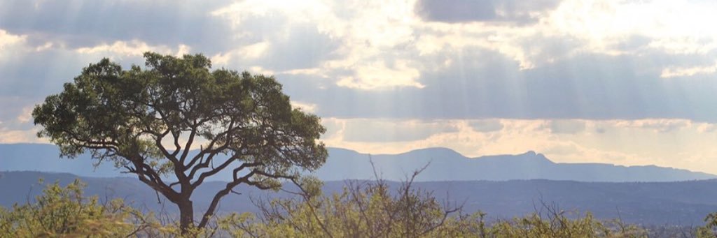 bricwoods's profile banner image