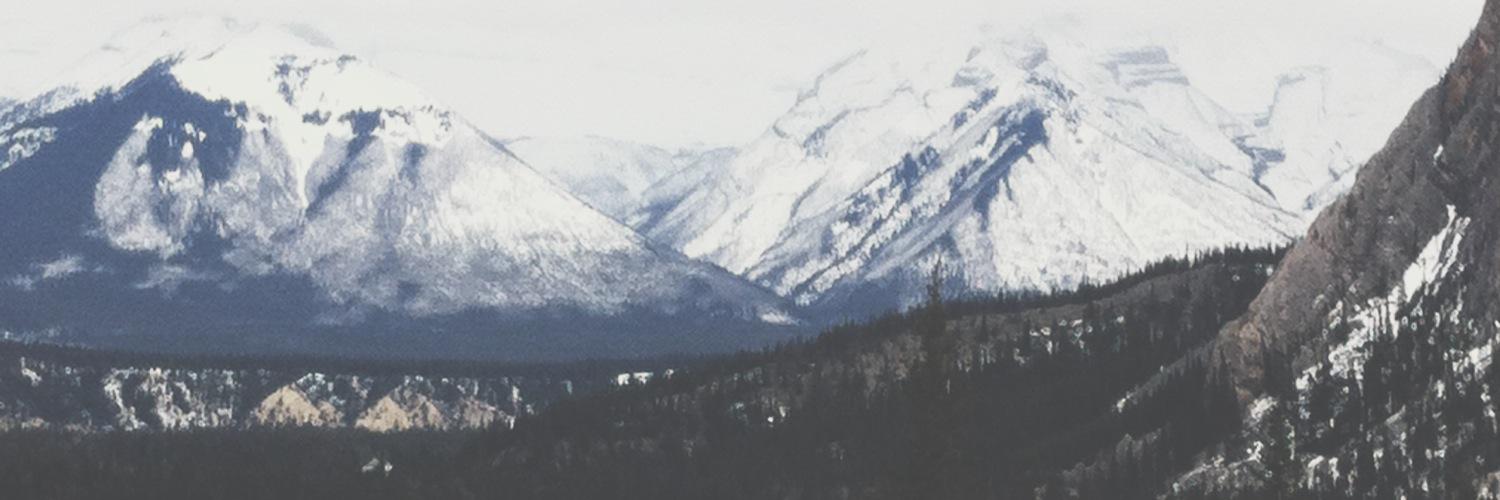 juliaparsina's profile banner image