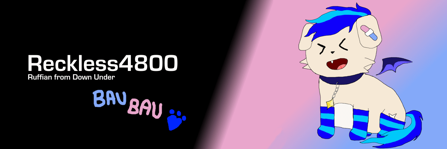 Reckless4800's profile banner image