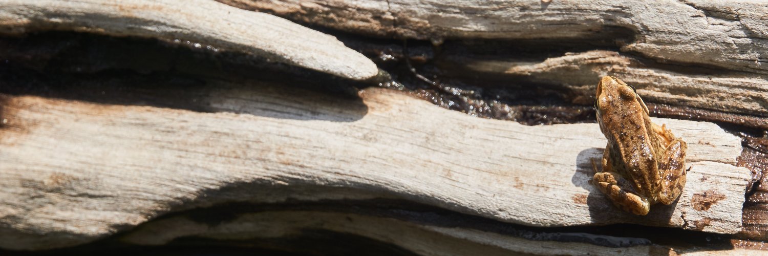 Enginyer d'estar per casa banner