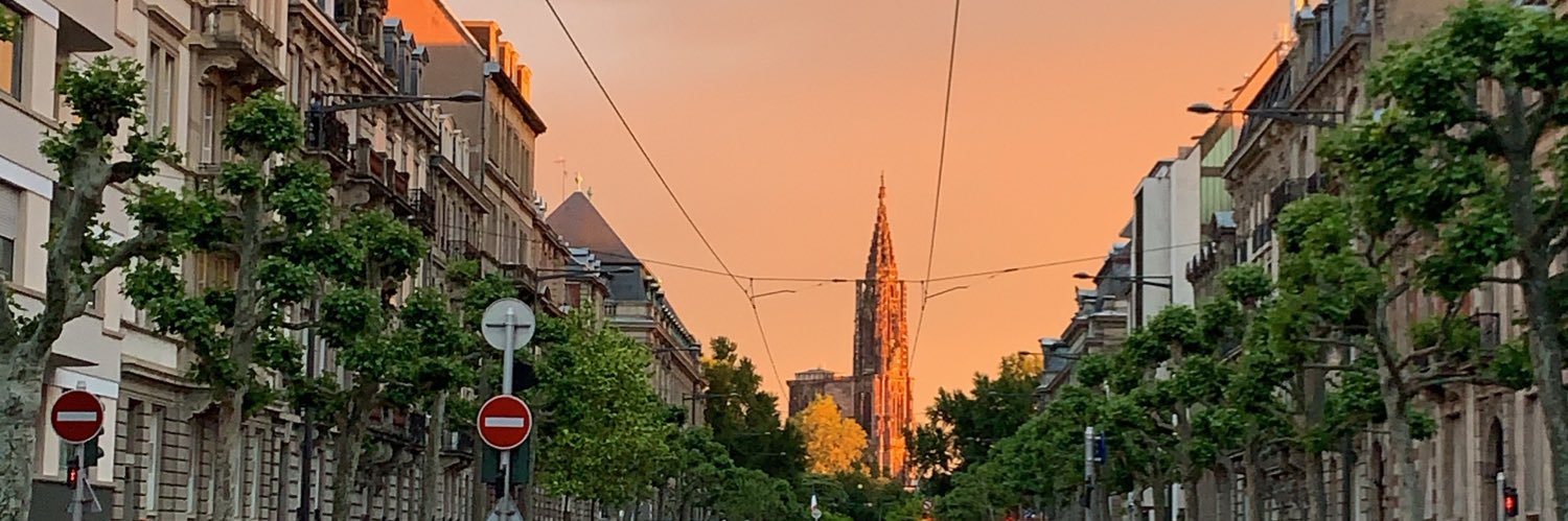 MargotGillmann's profile banner image