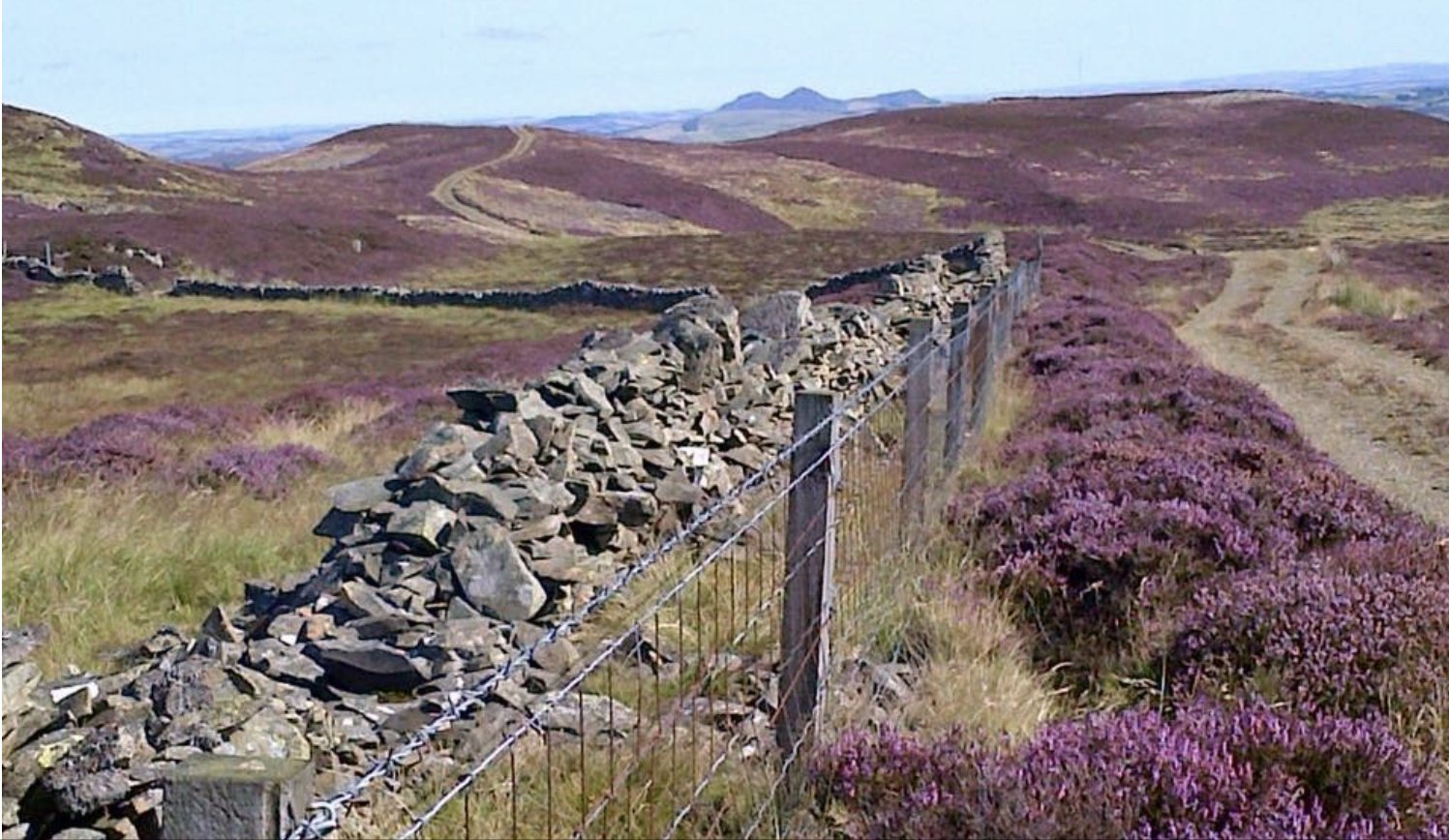 borderswalking's profile banner image