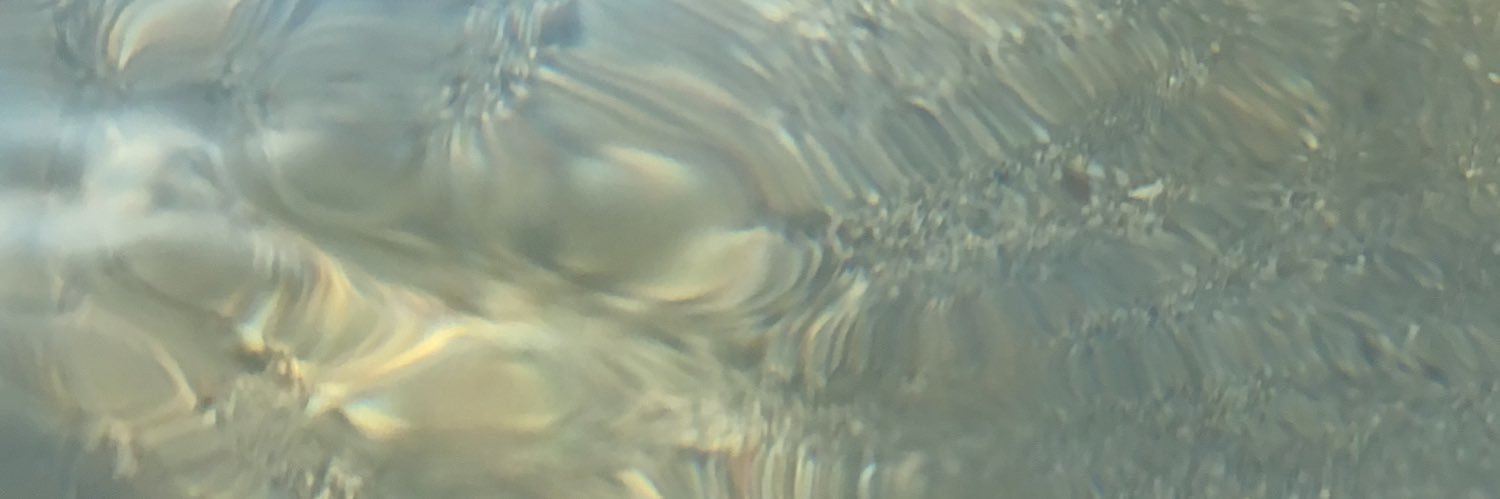 nonh461's profile banner image