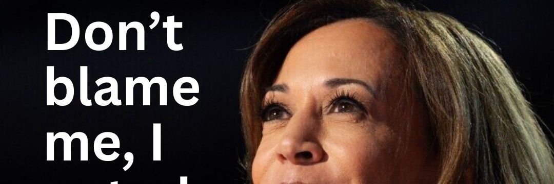 thetokenone🇺🇸🏳️‍🌈💙💙 banner