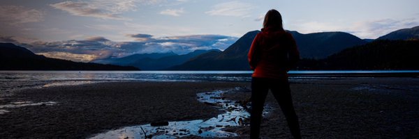 Rabbit11111 Profile Banner