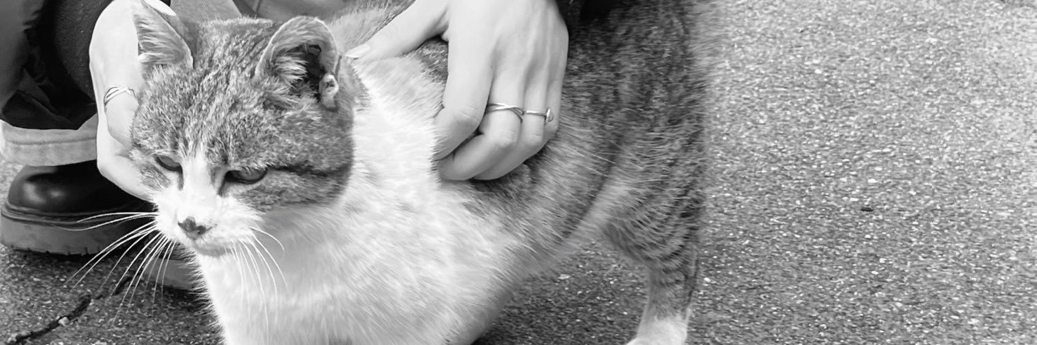 nnmrlll's profile banner image
