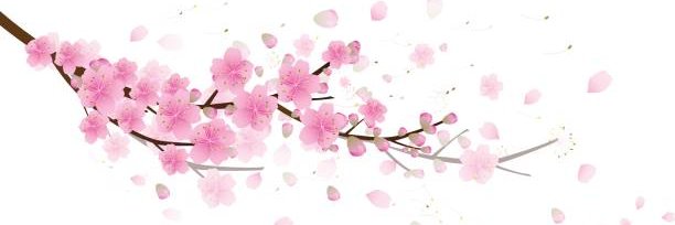 VivJRocks's profile banner image