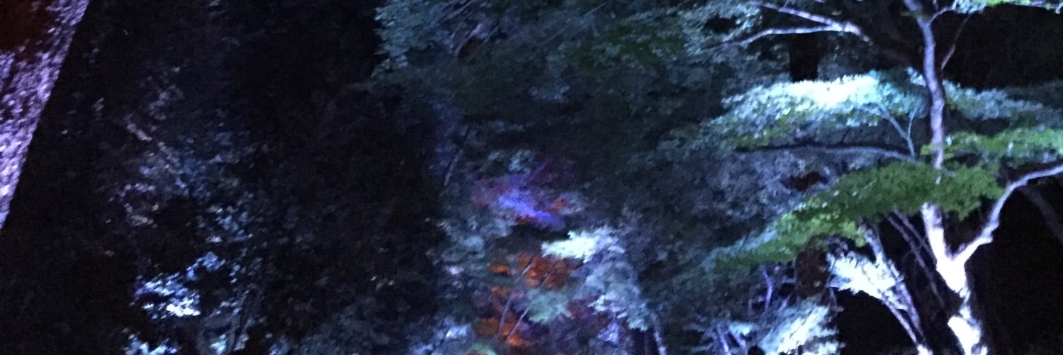 nnomuki's profile banner image