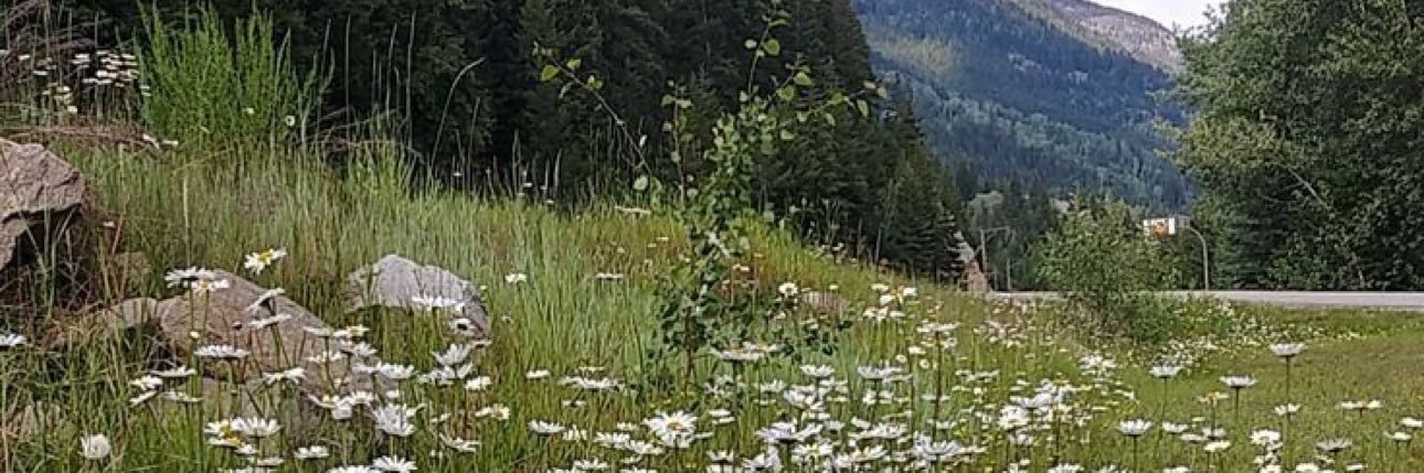 ASRARR1993's profile banner image