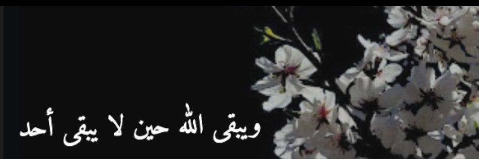 لمـيَــآء banner