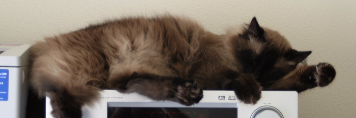 Hermann Fegelein banner