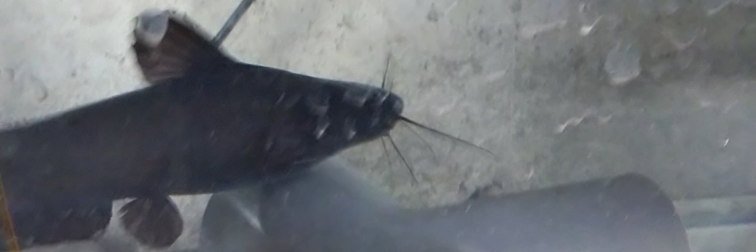 mororon's profile banner image