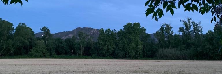 xeniamoss2's profile banner image