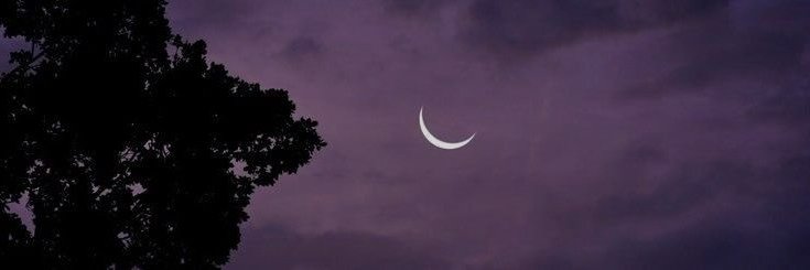 moongirl__11's profile banner image