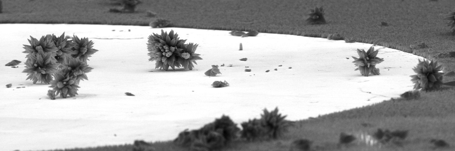 Pierre Gaffuri banner