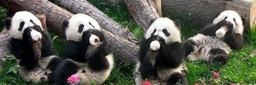 Chrissy Saylor🇺🇸 banner