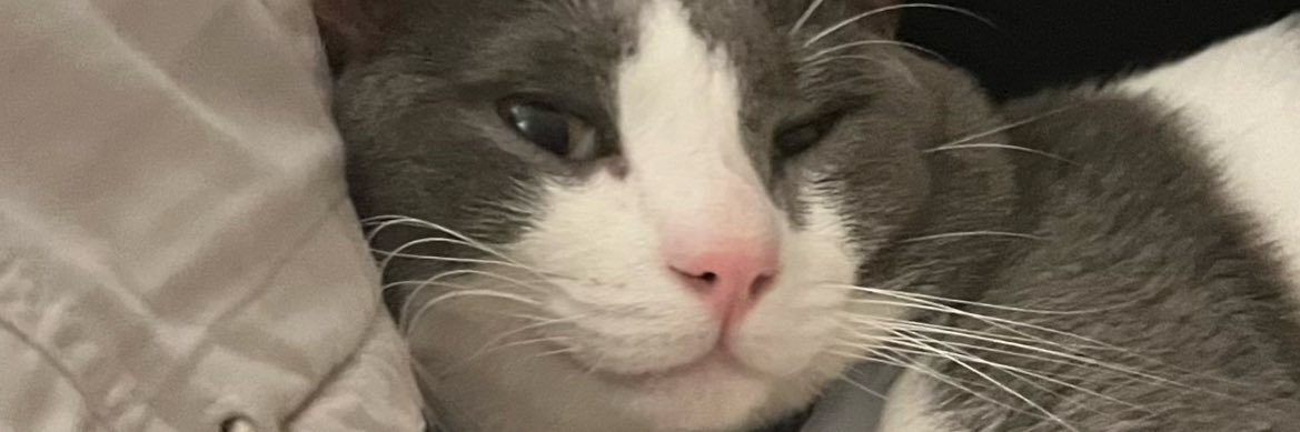 notnotmiguel's profile banner image