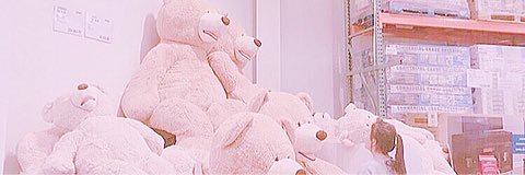 Margaret_study's profile banner image