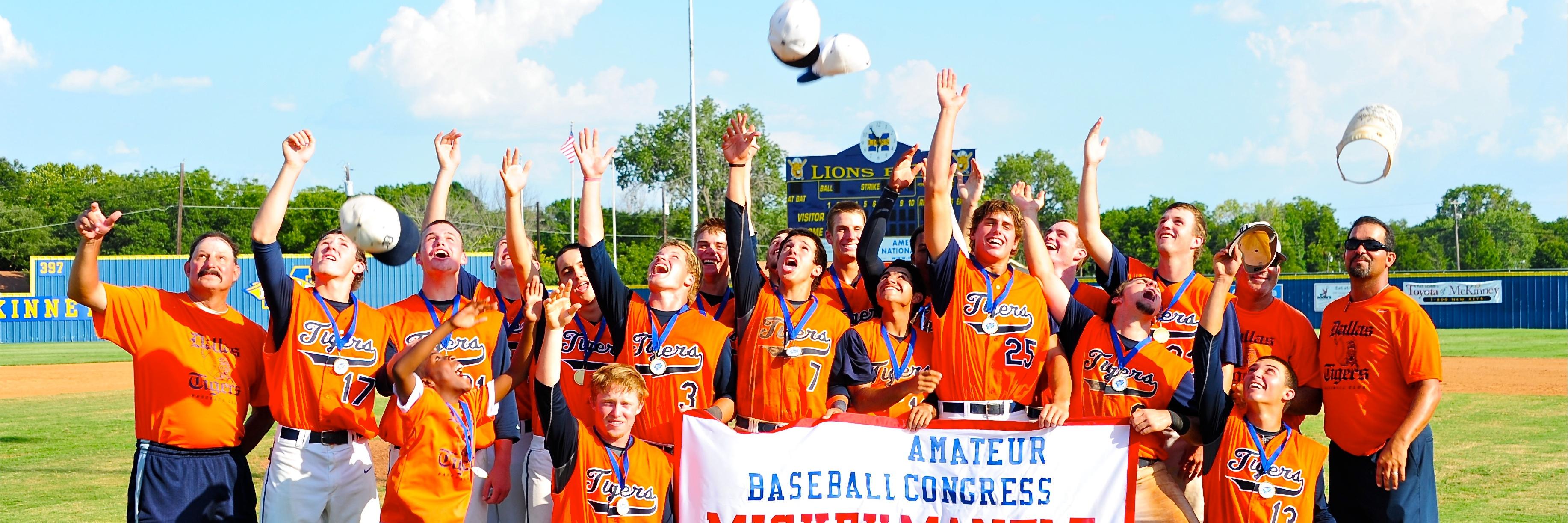 Dallas Tigers banner